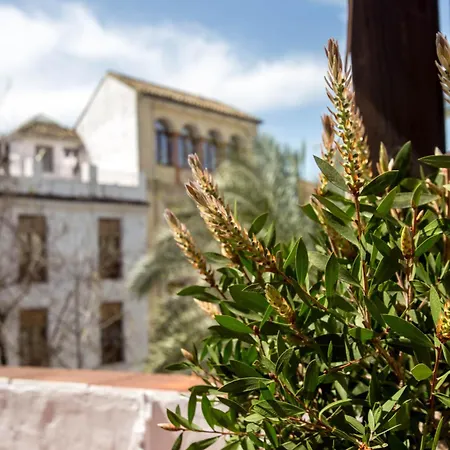Holiday home Munda Moon Cordoba